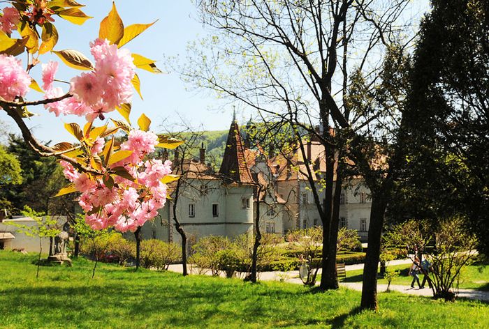 замок Шенборнів фото