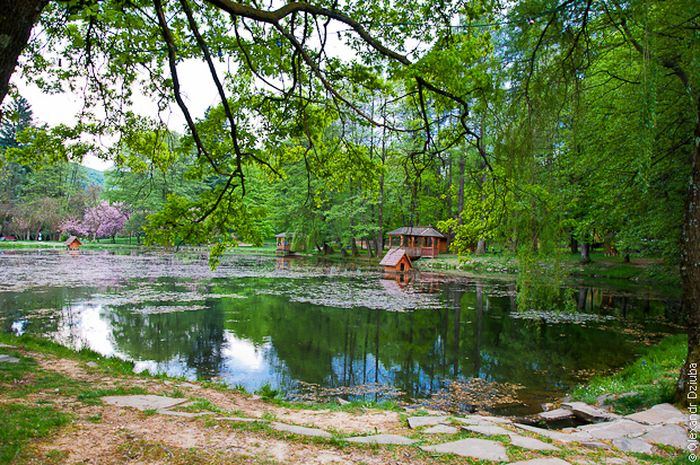 замок Шенборнів фото