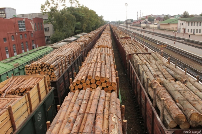 Думки вголос: закарпатці будуть страйкувати проти відміни мораторію на вивіз лісу-кругляка