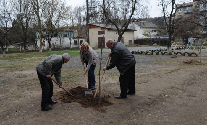 Сьогодні Ужгород суттєво озеленили