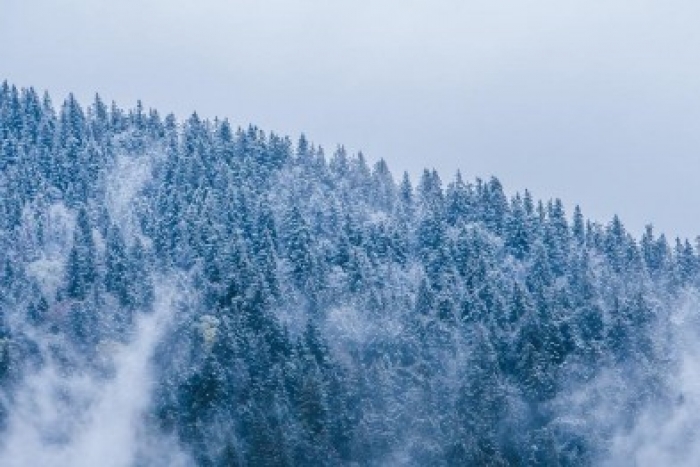 Скоро літо, а сніг продовжує падати