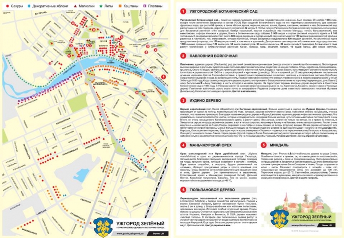 Зорієнтуватись в Ужгороді можна за деревами: презентували "зелений" путівник