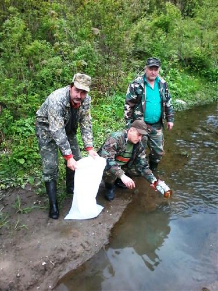 В Тисі оселились королівські особи