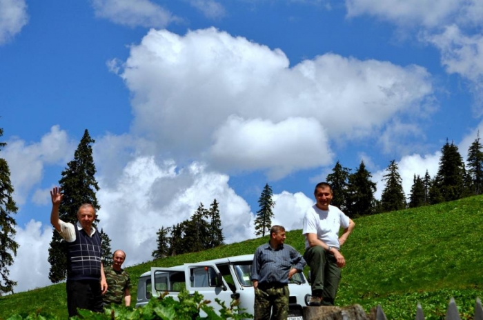 На Закарпатті захворів... ліс