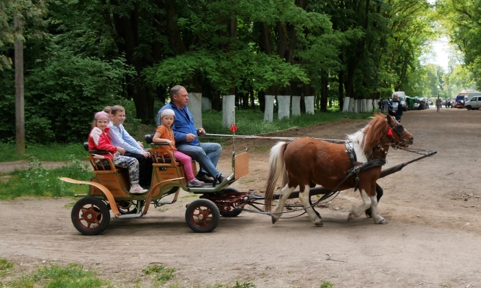 "Майся Фест" чекає ужгородців та гостей міста