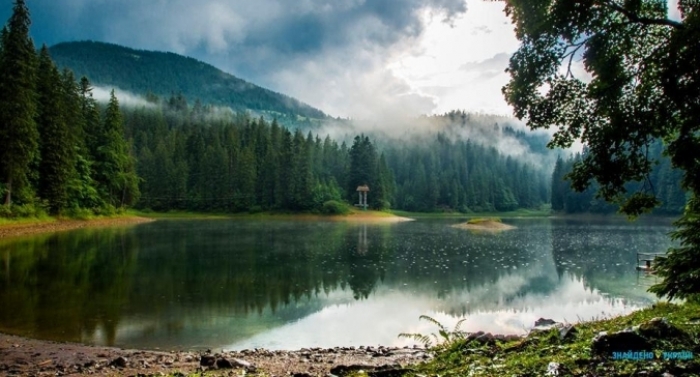 Підводне царство озера Синевир