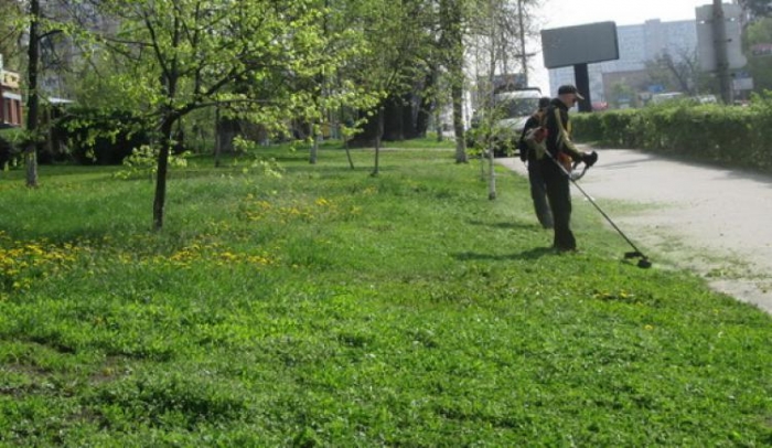 Сьогодні плідний день в ужгородських комунальників