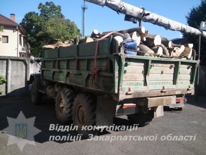 Закарпатець віз вантажівкою підозрілу деревину на прохання загадкового замовника