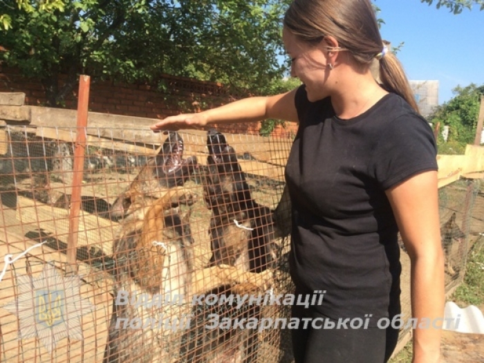 Мукачівські кінологи готуються приймати поліцейських собак з усієї України