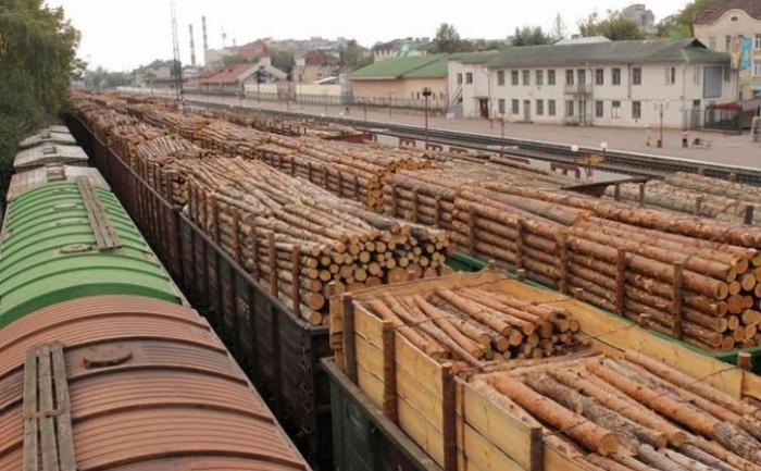 Москаль пропонує відправити в Авдіївку вагони з лісом, які затримали на Закарпатті