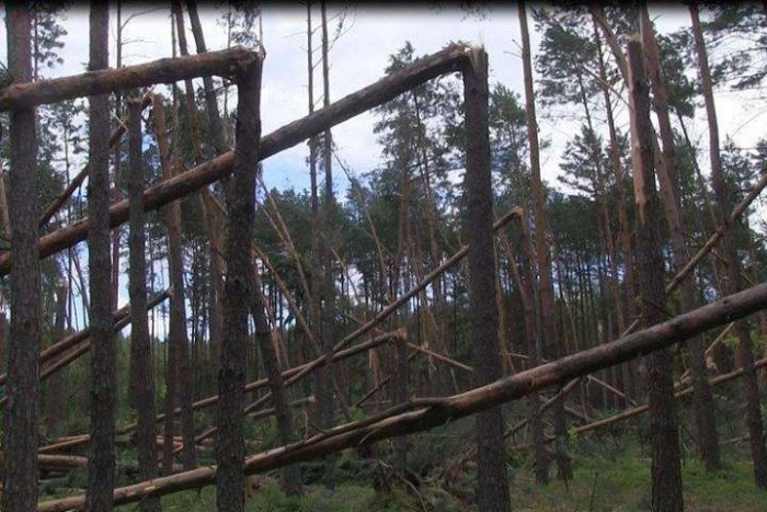 Як це було: впродовж минулої доби Закарпаття відчуло силу потужного північного циклону