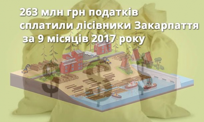 Лісгоспи Закарпаття сплатили понад 263 мільйони гривень податків