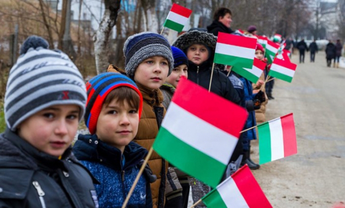 В Ужгороді розробили освітні програми, за якими готуватимуть учителів для шкіл з мовами навчання нацменшин