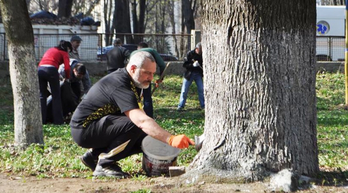 Після весняного прибирання столиця Закарпаття значно погарнішала!