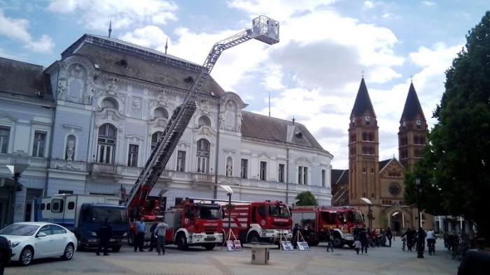 Як гасили пожежу за кілька десятків кілометрів від Ужгорода — по той бік кордону з ЄС