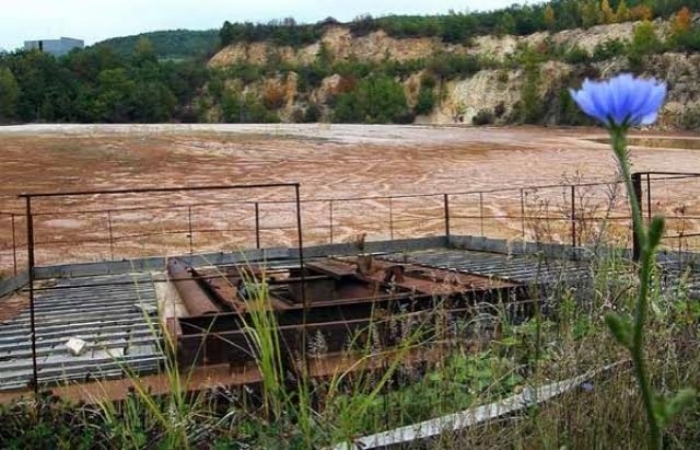 Золото у Мужієві на Закарпатті добуватимуть лише безпечними для екології технологіями 