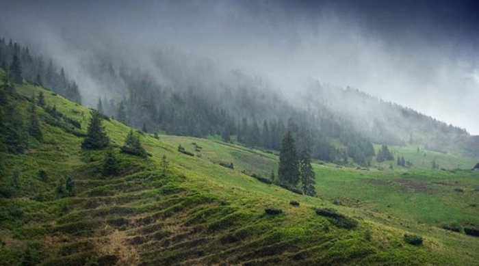 Вартість літнього відпочинку в Карпатах стартує від 3,5 тисяч гривень з особи