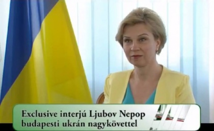 "В Україні можна вести бізнес так само, як і в Угорщині..."