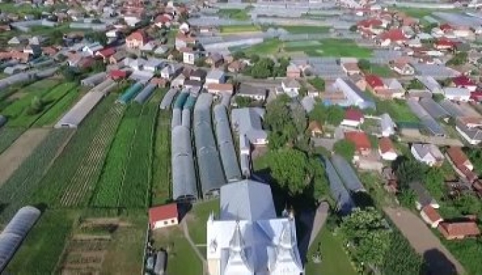 "Млада невіста" і ...парники села Заріччя на Закарпатті