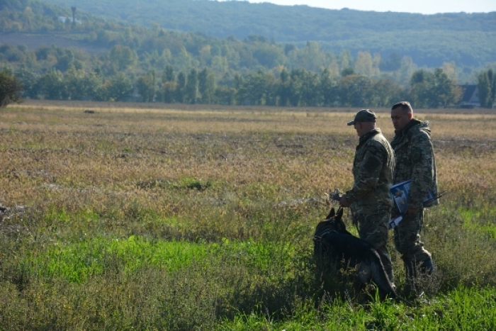 На в’їзді в Ужгород розшукові собаки змагаються хто краще "візьме слід"