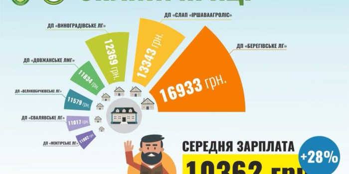 Закарпатські лісівники отримують одну з найвищих у цій галузі зарплат