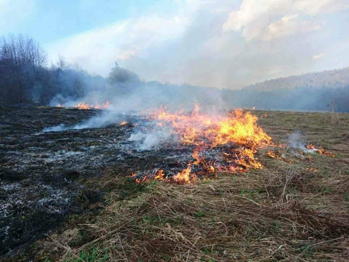 Рятувальники закликають закарпатців не провокувати пожеж на відкритих територіях