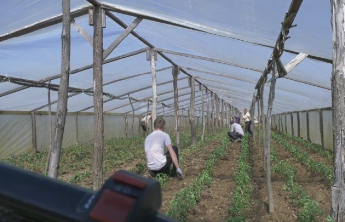 На Закарпатті фермери самотужки укріплюють дамби, аби врятувати урожай 