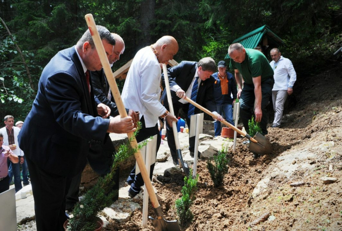 На Закарпатті вперше відбувся фестиваль «Де бере початок Тиса»