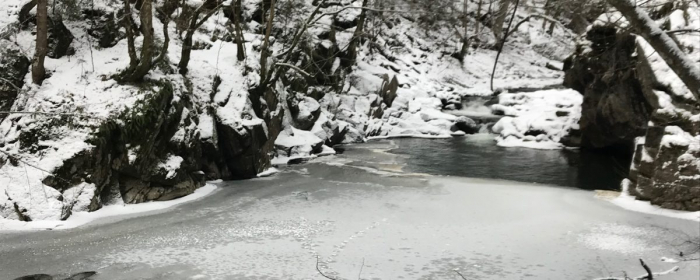 Голуба лагуна на Великоберезнянщині вражає і взимку