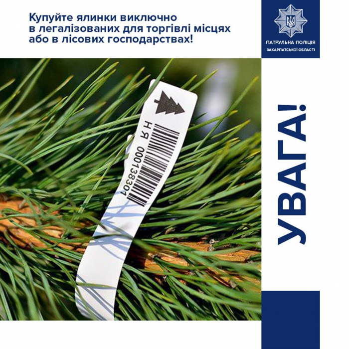 Вже придбали собі ялинку до свят? Актуальна інформація від закарпатських патрульних