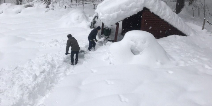 Через рекордну кількість снігу лісівники Рахівщини взялися рятувати оленів і косуль