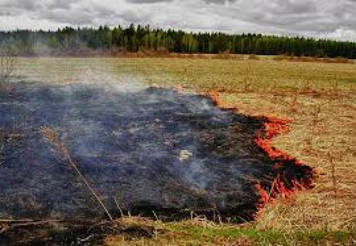 Закарпатцям нагадали: за випалювання трави – величезні штрафи!