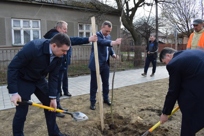 В Ужгороді з'явилися нові саджанці сакур 