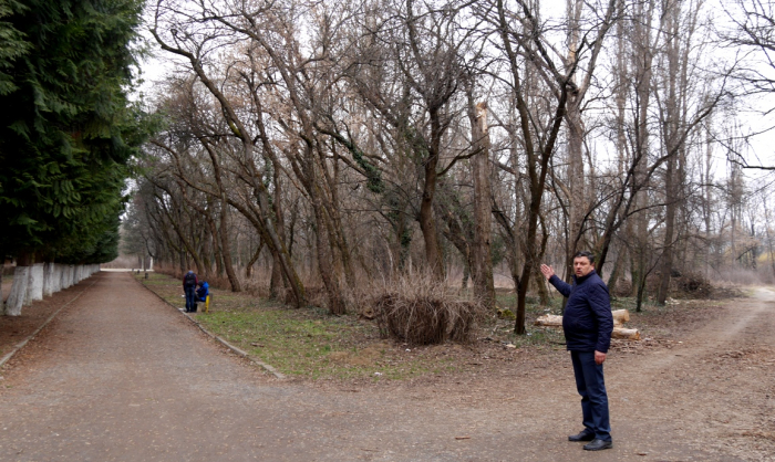 Боздоський парк в Ужгороді впорядкують. Із чого почнуть? 