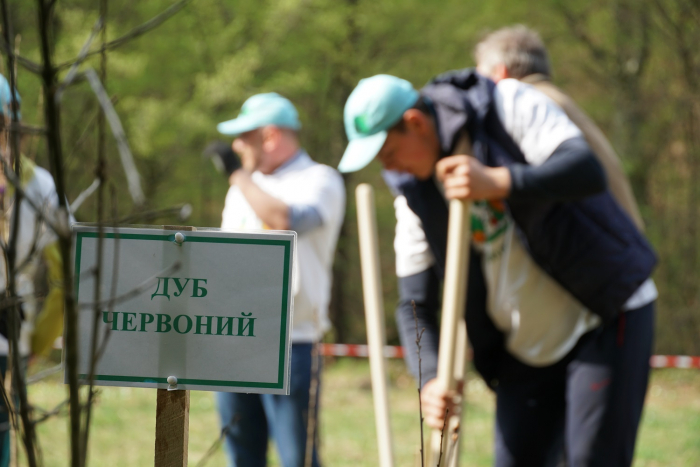 Поблизу Ужгорода висадили дендропарк (ФОТОРЕПОРТАЖ)