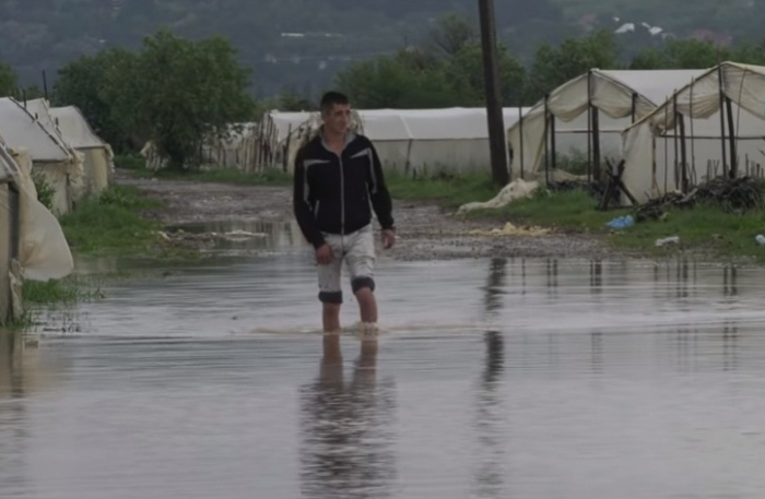 Води в теплицях на Закарпатті – по пояс, втрати врожаю – величезні (ВІДЕО)