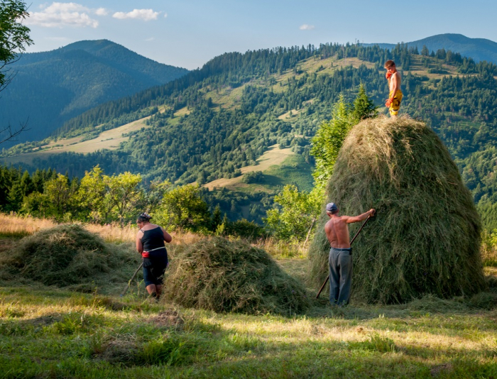 Завершився обласний фотоконкурс «Миттєвості сімейного щастя». Опубліковано фото переможців