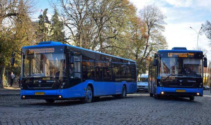 Побиті «Електрони»: кого жаба давить, що на маршрути Ужгорода виїхали сучасні автобуси? (БРИФІНГ)