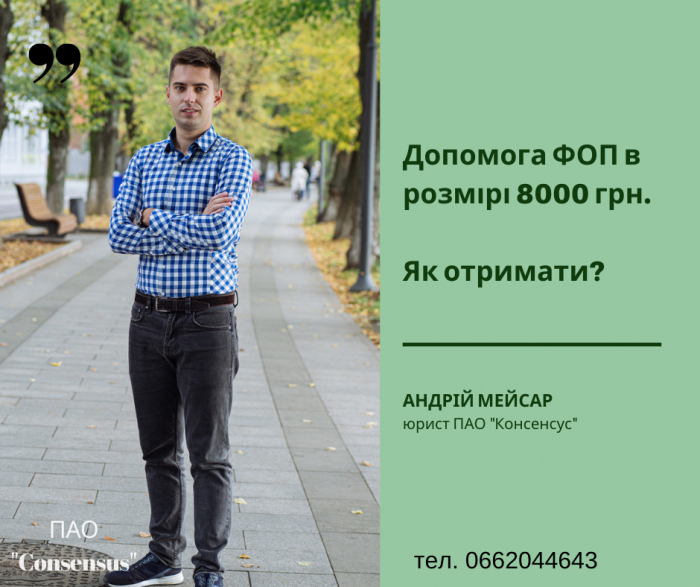 Допомога ФОП у розмірі 8000 грн: як її отримати закарпатцям?