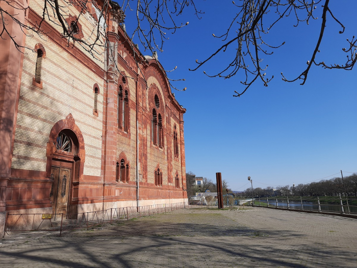 Ужгород на карантині: Повітря пахне паленою травою і першим квітом (ФОТОРЕПОРТАЖ)