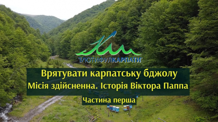 Б’ютифул Карпати: врятувати карпатську бджолу. Місія здійсненна (ВІДЕО)