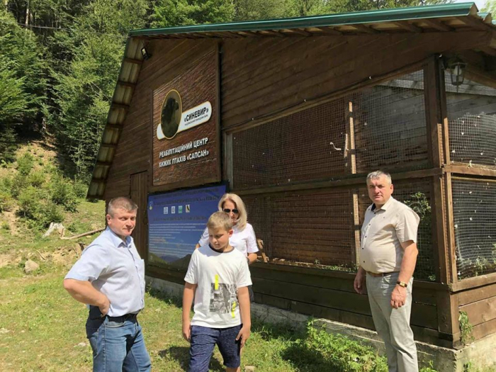 Врятований в Ужгороді найшвидший птах на планеті відтепер житиме в НПП "Синевир" 