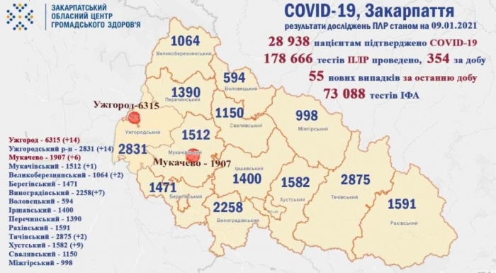 За минулу добу на Закарпатті підтверджено 55 випадків коронавірусу