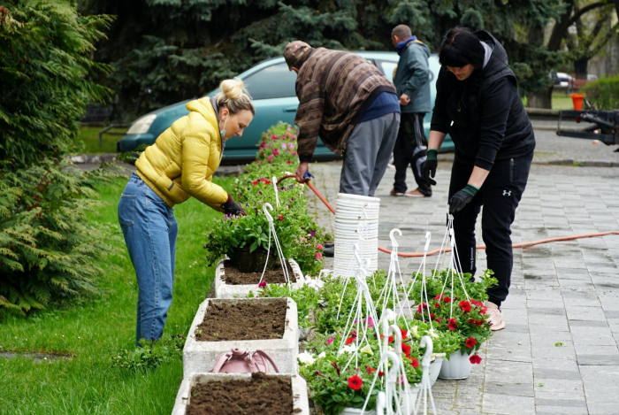 В Ужгороді висаджують сурфінії на площі Поштовій та ампельні пеларгонії на площі Шандора Петефі (ФОТО)