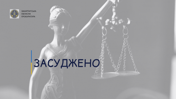 Двох крадіїв-рецидивістів з Виноградова засуджено до позбавлення волі