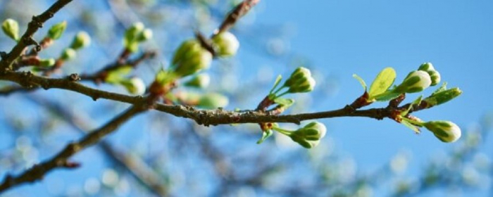 Погодні гойдалки та до +25 градусів. Якою буде погода у святкові вихідні?