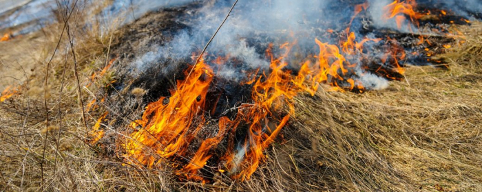 Закарпаття: внаслідок пожежі жінка отримала значні опіки