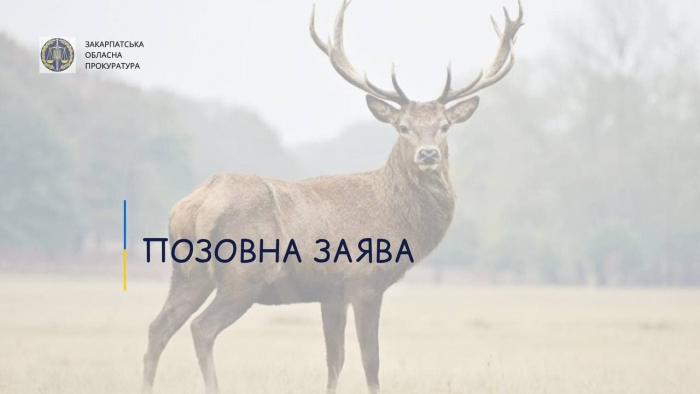 Вбивство олениці на території НПП «Синевир» – прокуратура вимагає відшкодування збитків