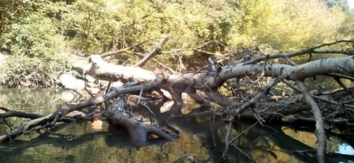 На Закарпатті розчищають русла річок Боржава та Латориця