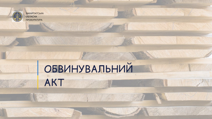 Закарпатця судитимуть за спробу незаконного переміщення рідкісної деревини до ЄС